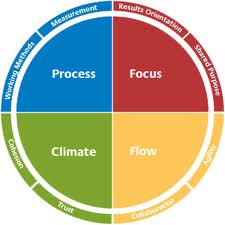 Insights Team Effectiveness Model